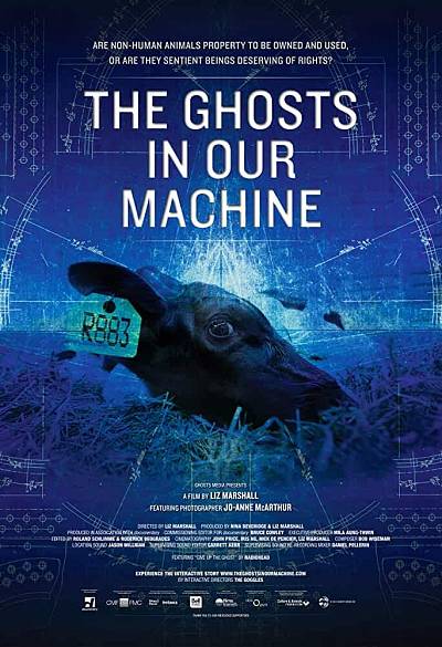The ghosts in our machine