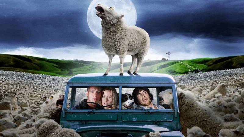 background Black Sheep