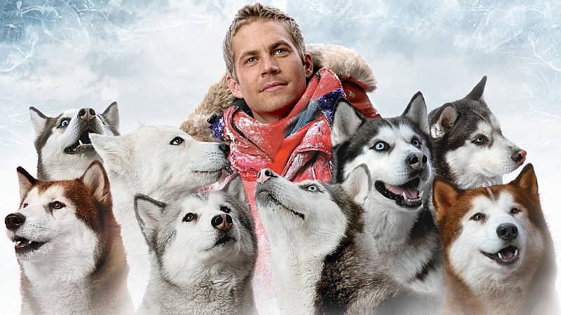 background Eight Below