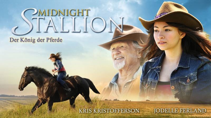 background Midnight Stallion