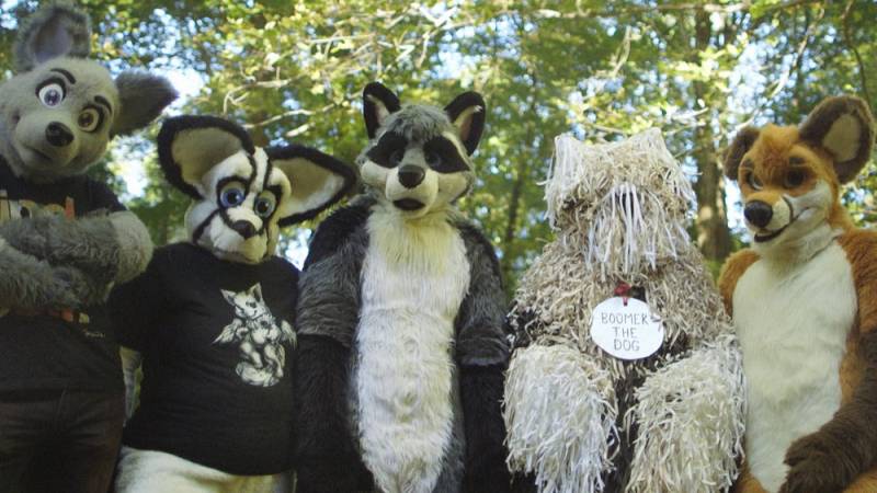 background Fursonas