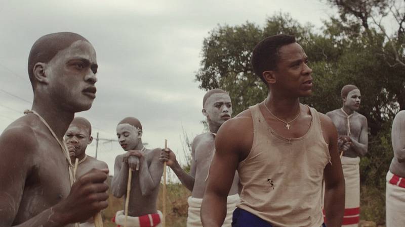 background The Wound