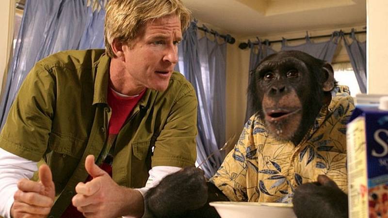 background Funky Monkey