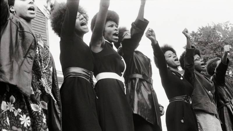 background The Black Panthers: Vanguard of the Revolution