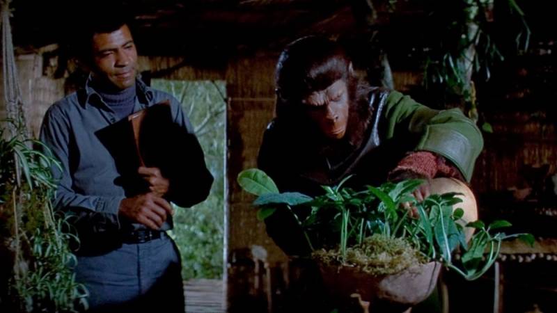 background Battle for the Planet of the Apes