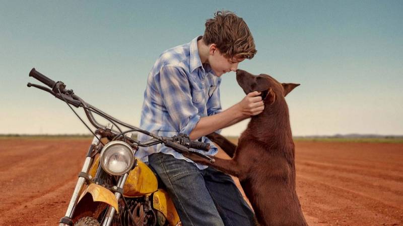 background Red Dog: True Blue