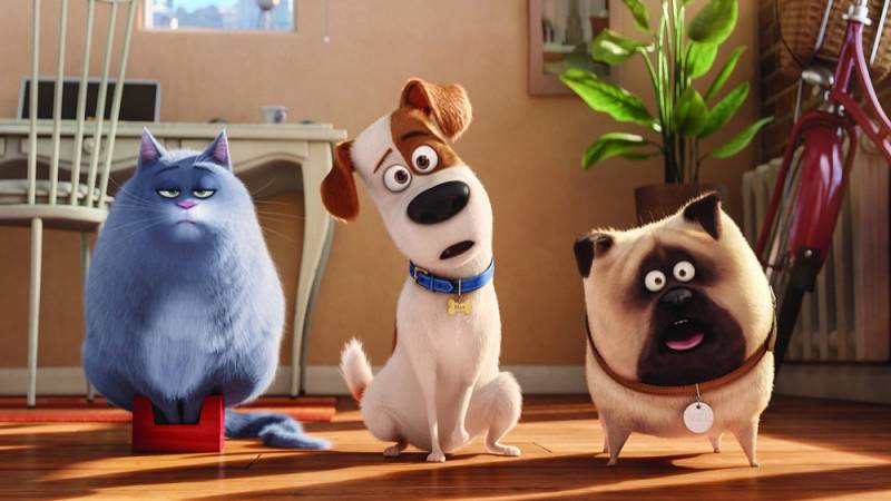 background The Secret Life of Pets
