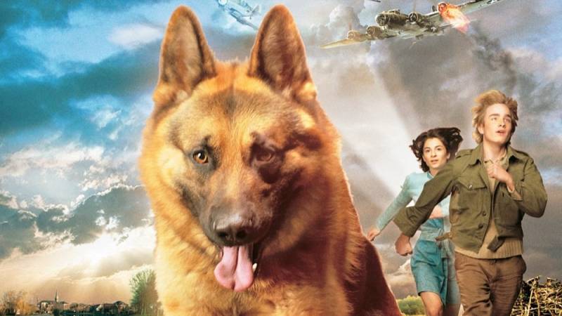 background Snuf de Hond in Oorlogstijd