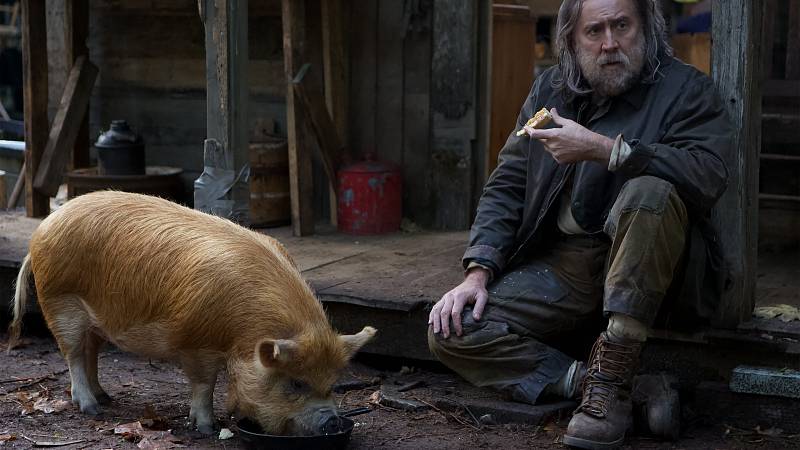 background Pig