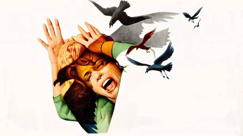 background The Birds