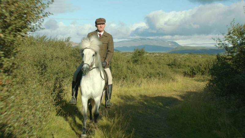background Of Horses and Men
