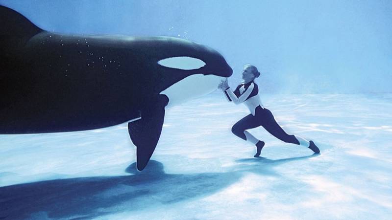 background Blackfish