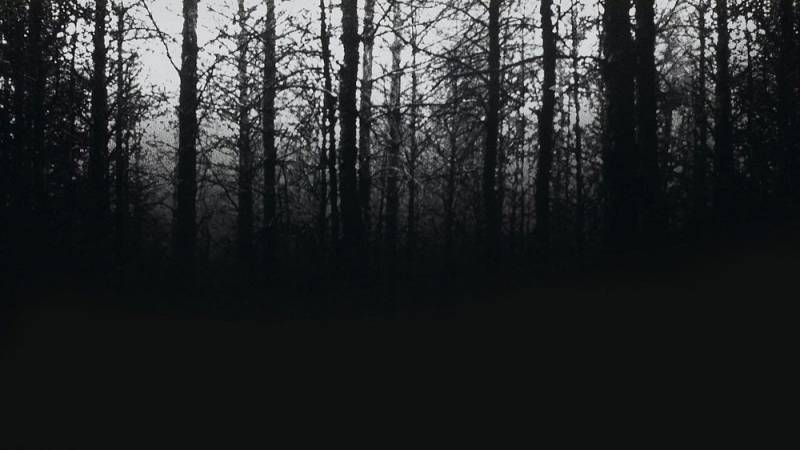 background The Blair Witch Project