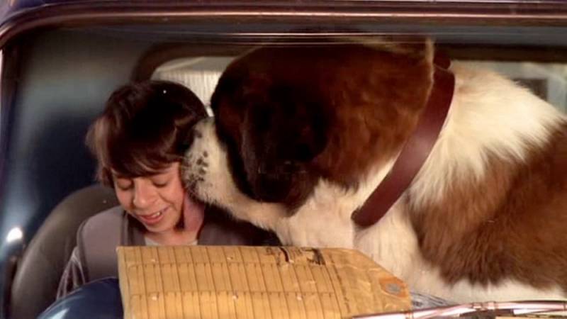 background Beethoven's Big Break