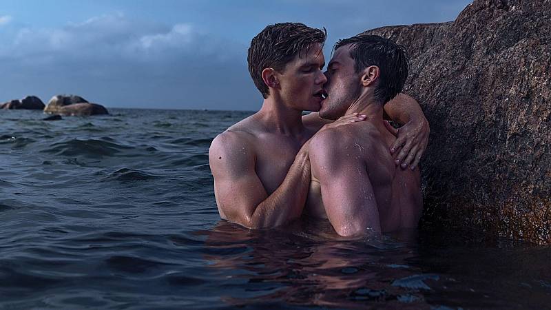background Firebird