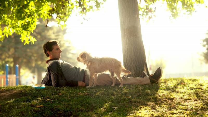 background Seeking a Friend for the End of the World