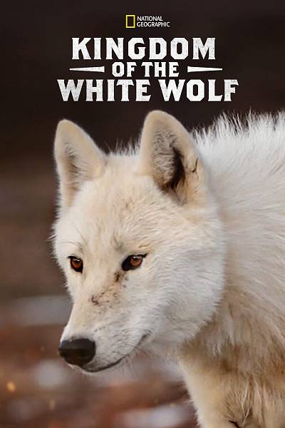 Kingdom of the white wolf