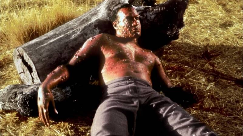 background Candyman II: Farewell To the Flesh