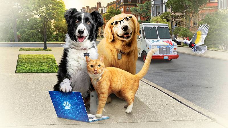 background Cats & Dogs: Slaan de pootjes ineen!