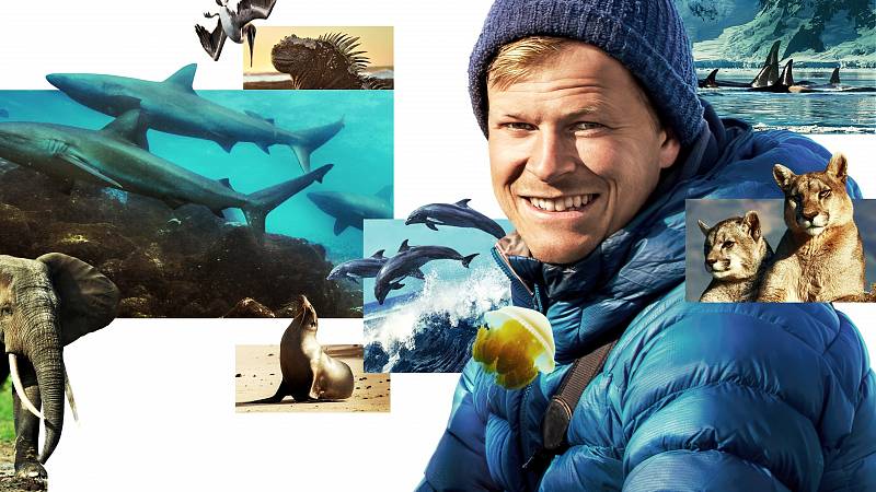 background Animals Up Close with Bertie Gregory