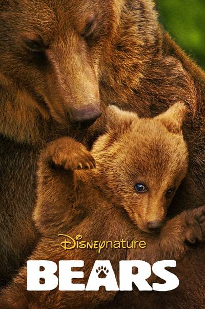 Bears (NL)