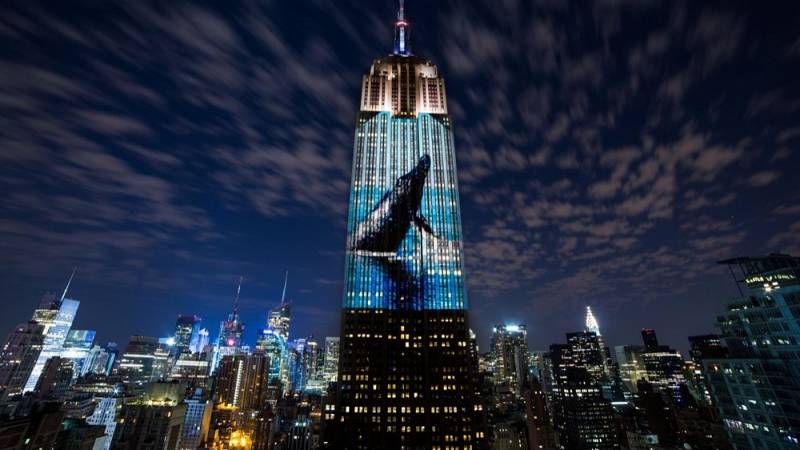 background Racing Extinction