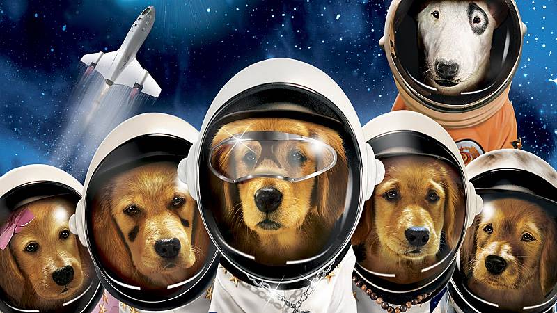 background Space Buddies
