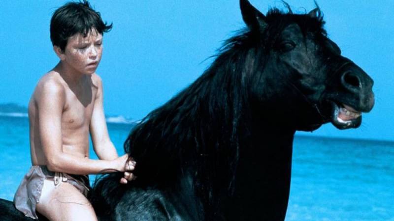 background The Black Stallion