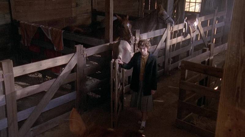 background Temple Grandin