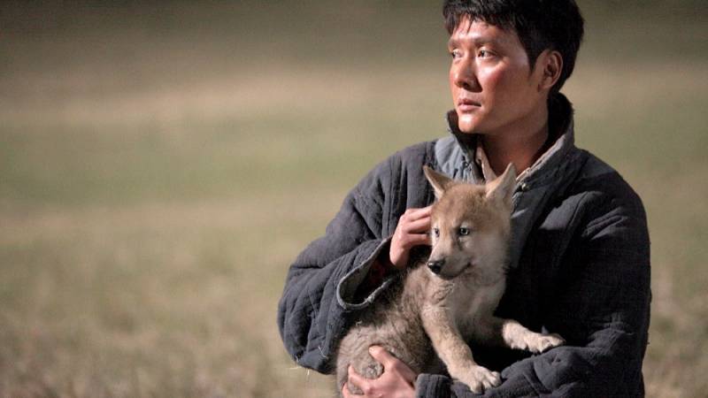 background The Last Wolf