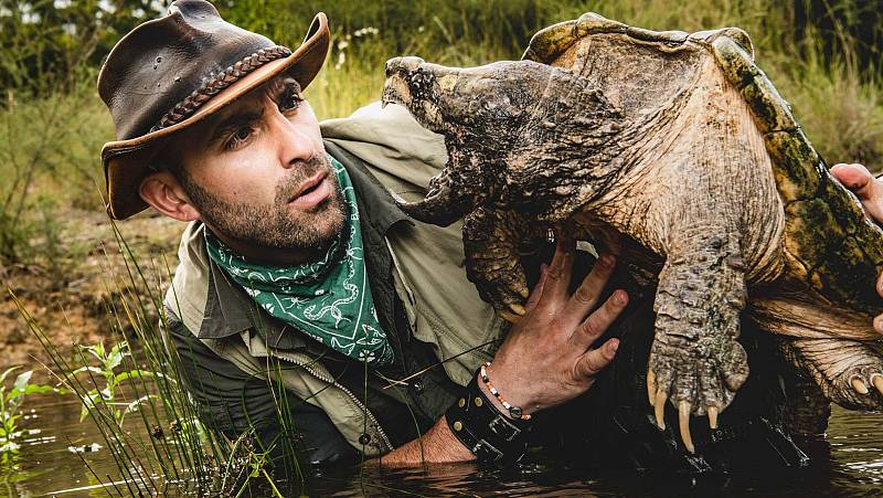 background Coyote Peterson: Brave the wild