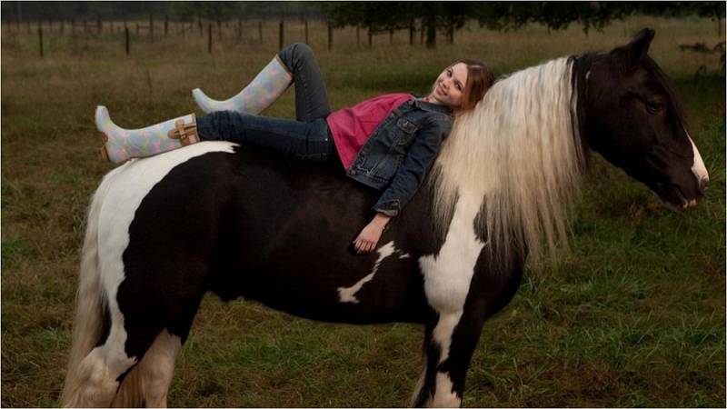 background Het nieuwe leven van Whitney Brown