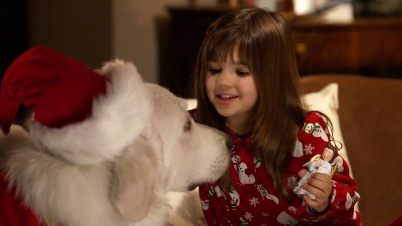 background The Search for Santa Paws