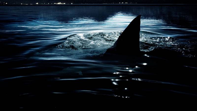background Shark Lake