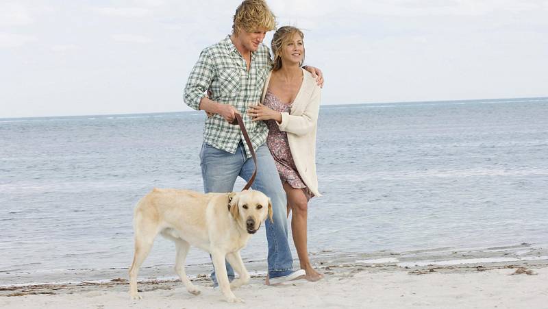 background Marley & Me