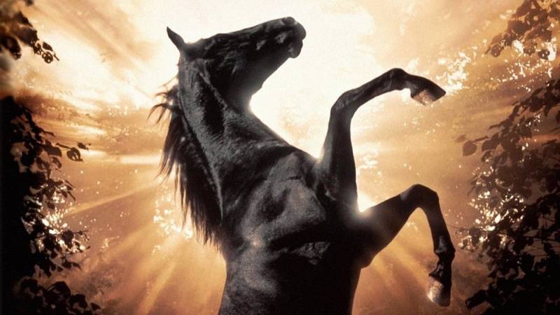 background Black Beauty