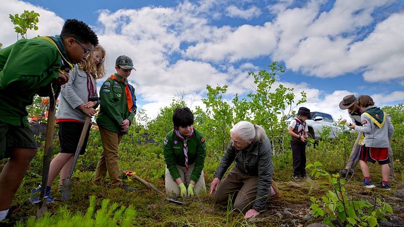 background Jane Goodall: Reasons for Hope