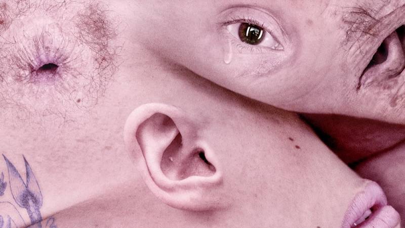background Pieles