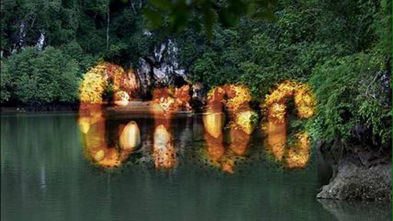 background Croc