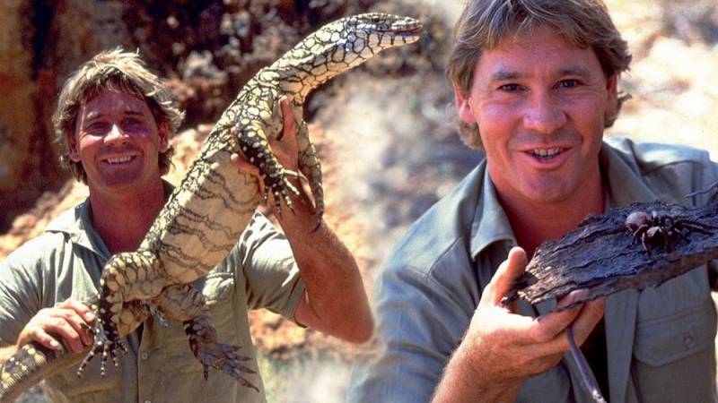 background The Crocodile Hunter: Collision Course