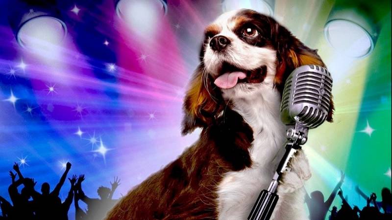background Pup Star