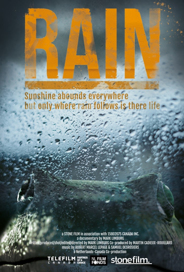 Rain