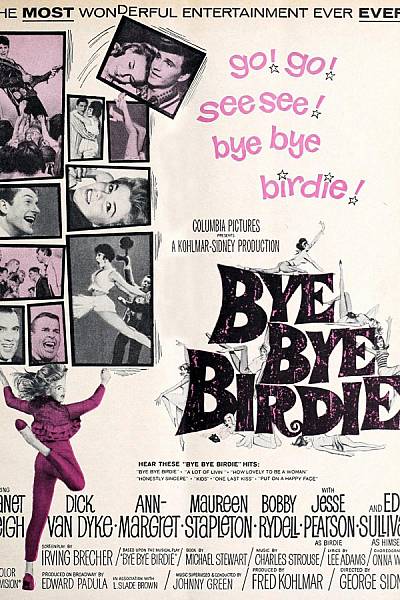 Bye Bye Birdie