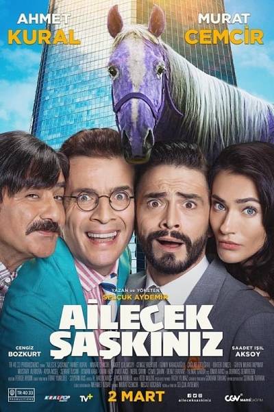 Ailecek Saskiniz