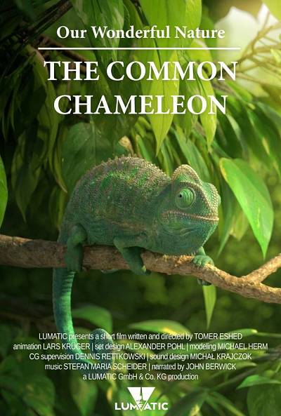 Our Wonderful Nature: The Common Chameleon