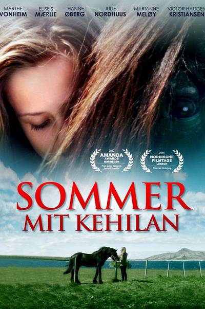Coming home: Waar de paarden zijn