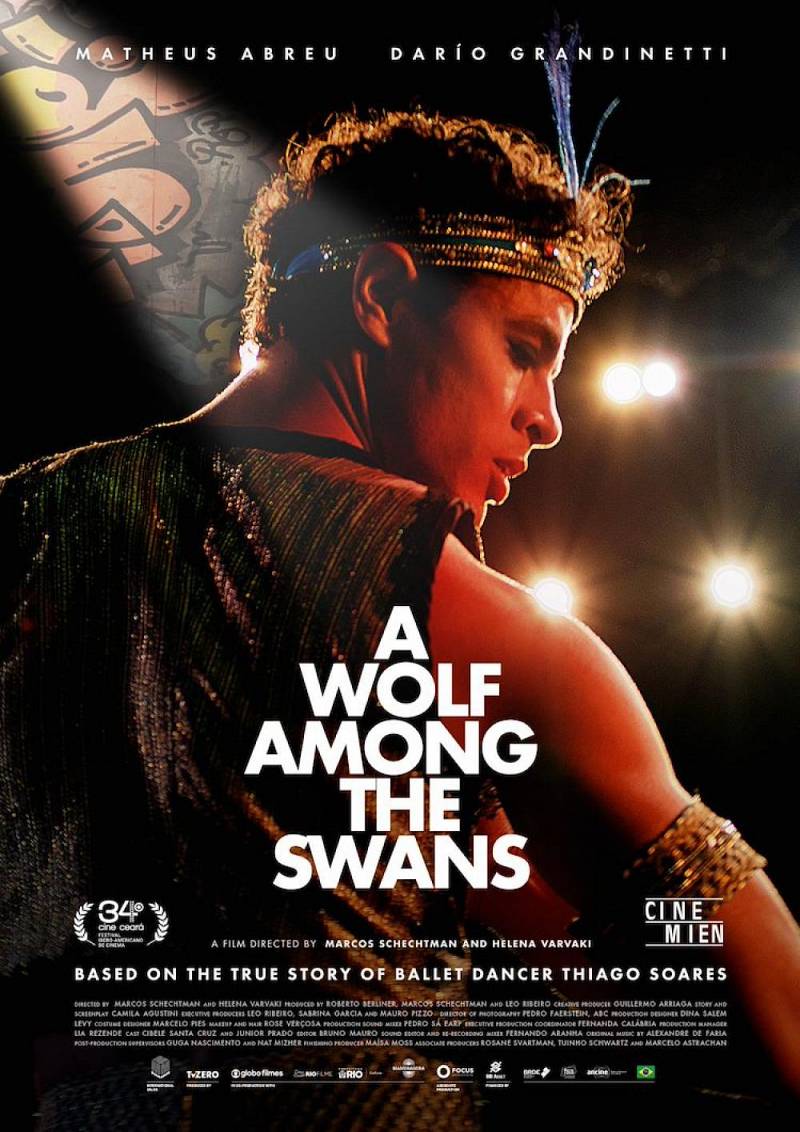 A Wolf Among The Swans A Wolf Among The Swans