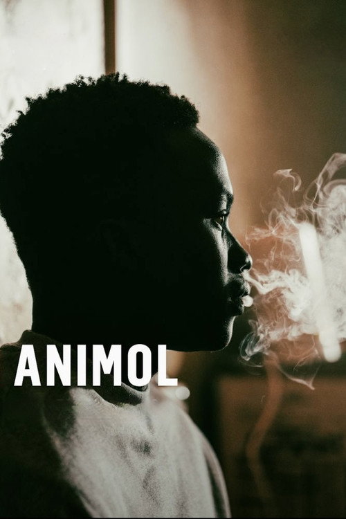 Animol Animol
