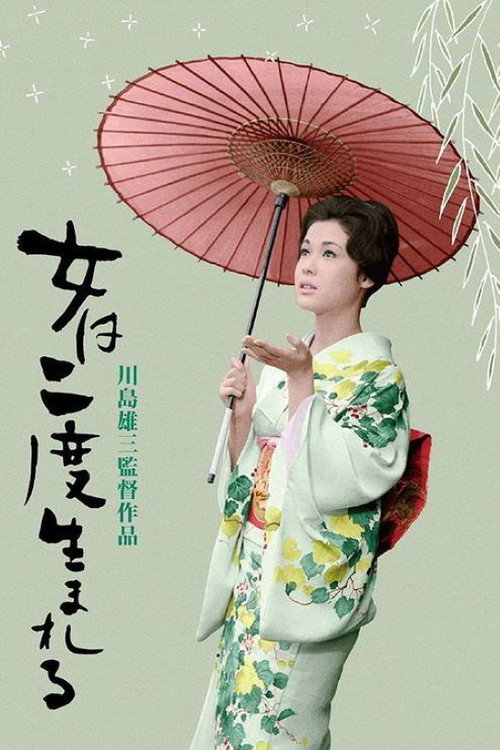 A Geisha's Diary A Geisha's Diary