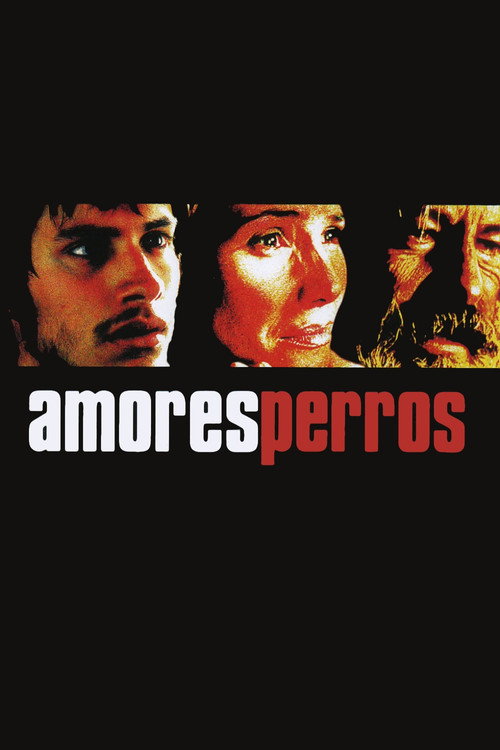 Amores perros Amores perros